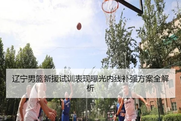 辽宁男篮新援试训表现曝光内线补强方案全解析